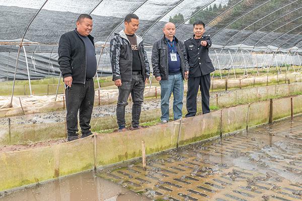 湘西州|泸溪县开展水产养殖安全生产专项执法大检查