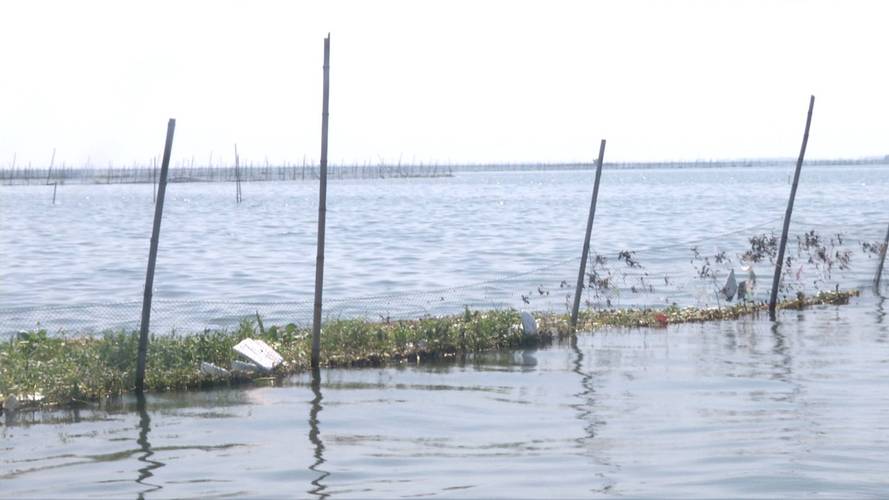 洪湖是全省水产大市,受连续强降雨影响,受灾水产养殖面积达到49.