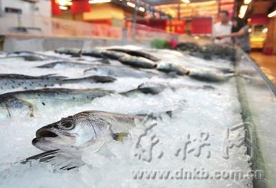 休渔期结束 福建福州大量海产品上市零售价仍“淡定”