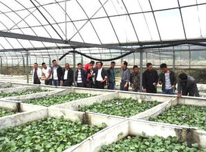 武穴市水产局组织参观稻虾综合种养示范基地